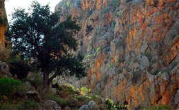 karoumes_2
